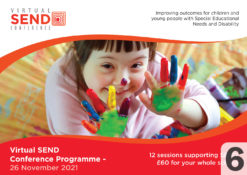 Virtual SEND Conference 6 brochure