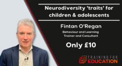 Neurodiversity traits by Fintan O'Regan