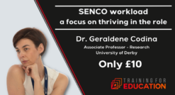 SENCO workload by Geraldene Codina