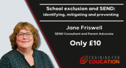 School exclusion and SEND by Jane Friswell