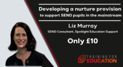 Developing a nurture provision by Liz Murray
