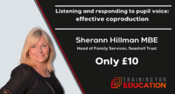 Effective coproduction by Sherann Hillman MBE